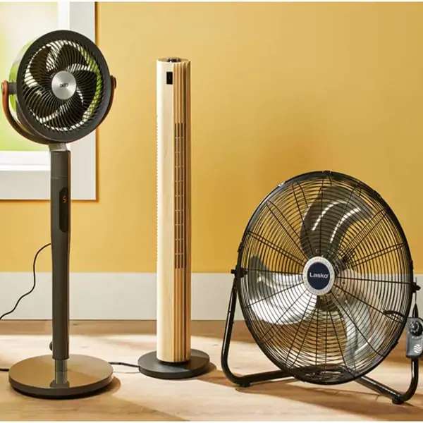FANS