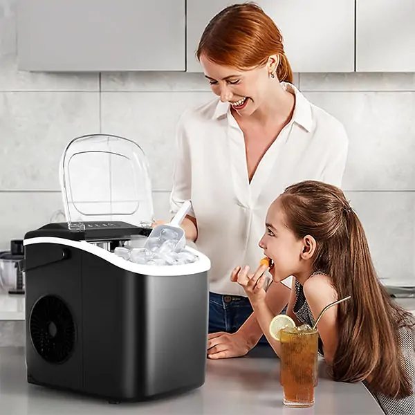 Ice maker